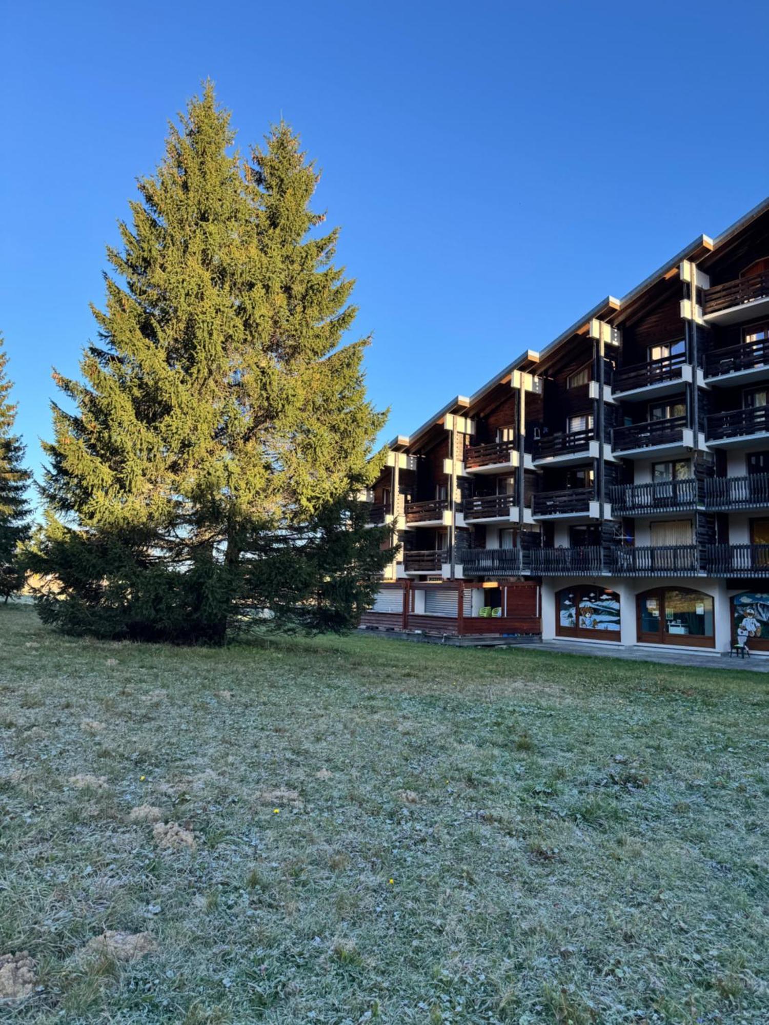 Superbe Studio De Montagne, Au Pied Des Pistes De Ski, Classe 3 Etoiles La Morte Εξωτερικό φωτογραφία